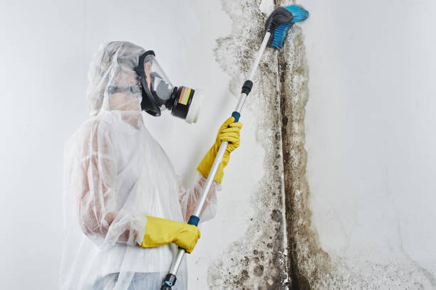 Water Damage Restoration in Ruston, WA