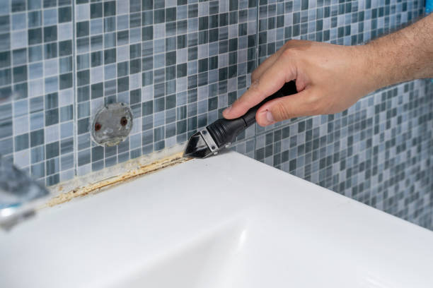 Best Local Mold Removal Service  in Ruston, WA