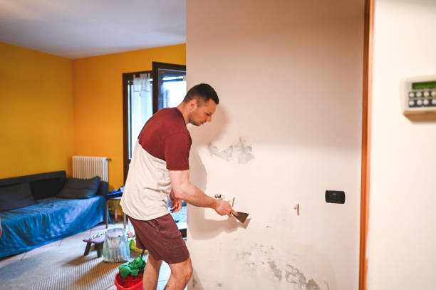 Best Office Mold Removal Services  in Ruston, WA